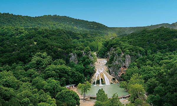 黃山經濟區荒山綠化、靈山衛街道辦事處荒山綠化、鑫隆生態園綠化工程